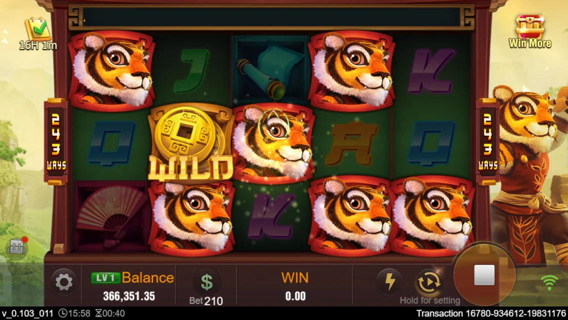 Master Tiger Screenshot 3