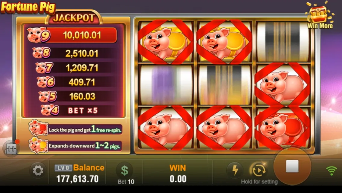 Fortune Pig Screenshot 5