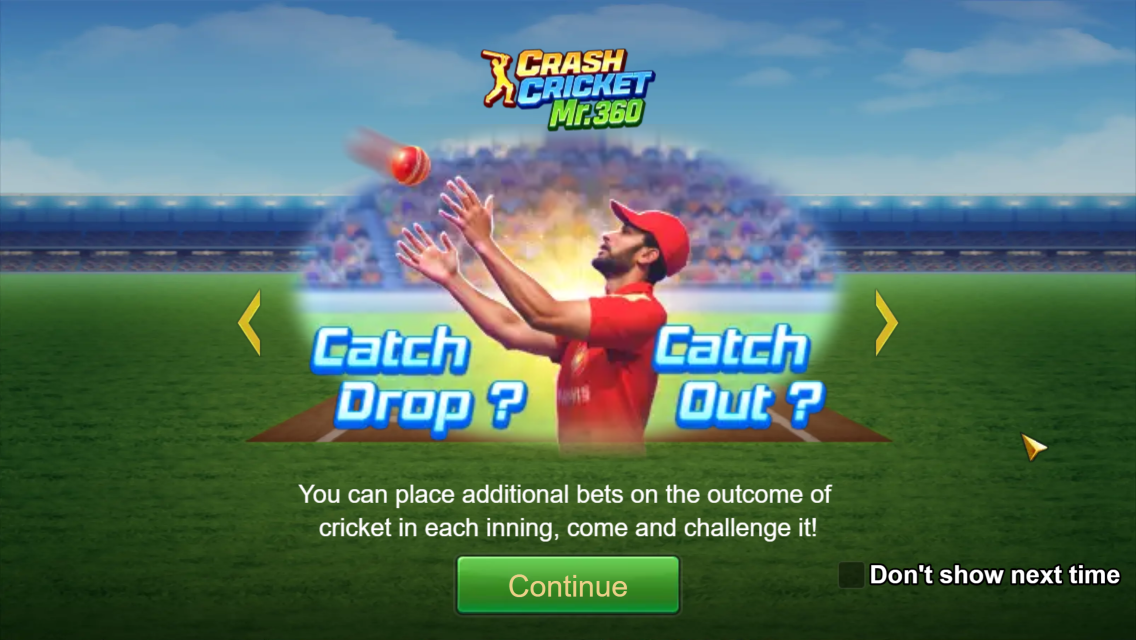 Crash Cricket Legend screenshot 2